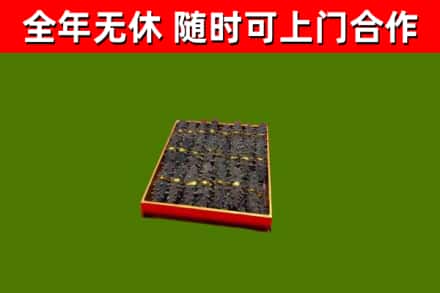 宣州回收海参